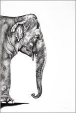 Wall print  Indian elephant - Rose Corcoran