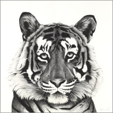 Wall print  Tiger Head - Rose Corcoran
