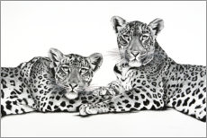 Wall print  Two leopards - Rose Corcoran
