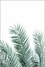 Póster Hojas de palmera II