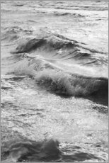 Reprodução  Shore in black and white - Studio Nahili