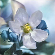 Plakat A flower in spring