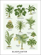Poster Blattpflanzen (Dänisch)