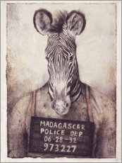 Wandbild  Polizeifoto mit Zebra - Mike Koubou