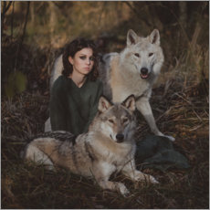 Poster The girl and the wolves