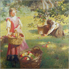 Wandbild  Äpfel - Harold Harvey