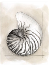Wall print Shell Schematic II - Megan Meagher