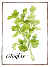 Lærredsbillede  Herbal illustration Cilantro - Grace Popp