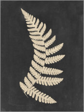 Poster Linen fern IV