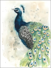 Akryylilasitaulu  Peacock Portrait - Grace Popp