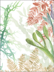 Poster Sea plants I