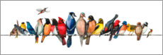 Print  Large Bird Menagerie II - Wendy Russell