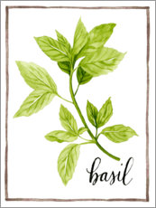 Tableau  Illustration du basilic (anglais) - Grace Popp