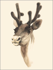 Poster Reindeer study