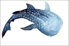 Poster  Whale Shark - Déborah Maradan