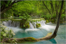 Poster  Cascata nella foresta delle fate - Dieter Meyrl