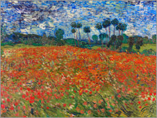 Print på aluminium  Poppy Field, Auvers-sur-Oise - Vincent van Gogh