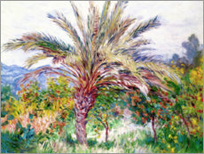 Plakat Palm tree at Bordighera