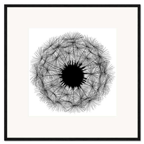 Framed art print Dandelion - black