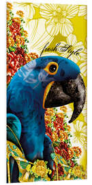 Foam board print Blue macaw