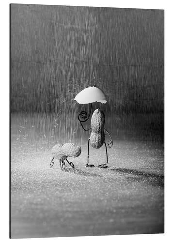 Aluminium print Simple Things - Bad Weather