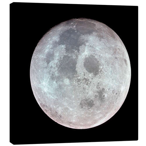 Canvas print The Moon