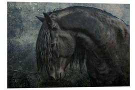 Foam board print Black Frisian stallion