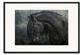 Gerahmter Kunstdruck Der Friesen-Hengst