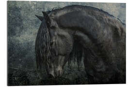 Quadro em plexi-alumínio Black Frisian stallion