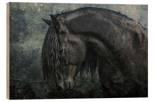 Wood print Black Frisian stallion