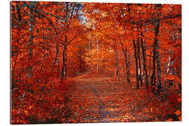 Gallery print Colorful autumn