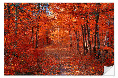 Selvklebende plakat Colorful autumn