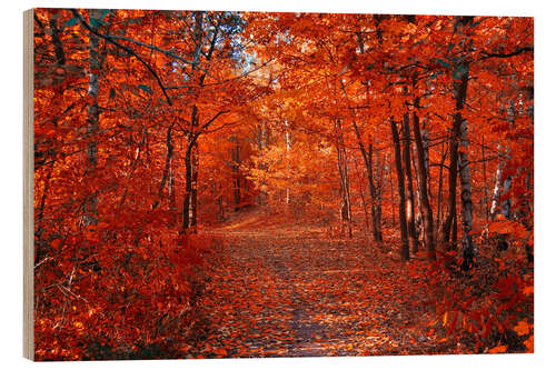 Stampa su legno Colorful autumn