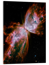 Acrylic print The Butterfly Nebula