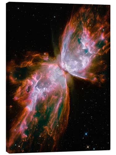 Canvas print The Butterfly Nebula