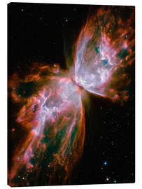 Canvastavla The Butterfly Nebula