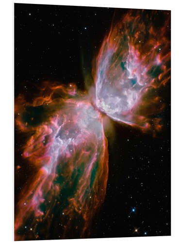 Foam board print The Butterfly Nebula