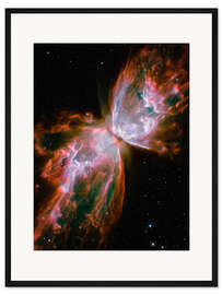 Gerahmter Kunstdruck Der Schmetterlingsnebel