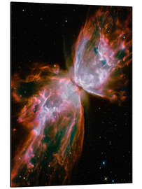 Magnettafel Der Schmetterlingsnebel