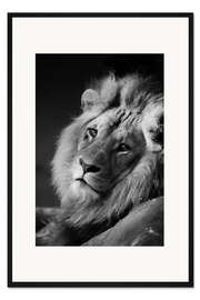 Gerahmter Kunstdruck Löwe