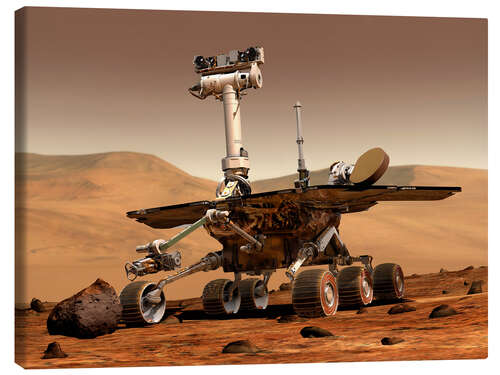 Stampa su tela Mars Rover