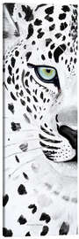 Tableau sur toile  Le léopard blanc - Annett Tropschug