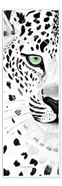 Poster Le léopard blanc