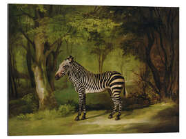 Magnettafel Ein Zebra