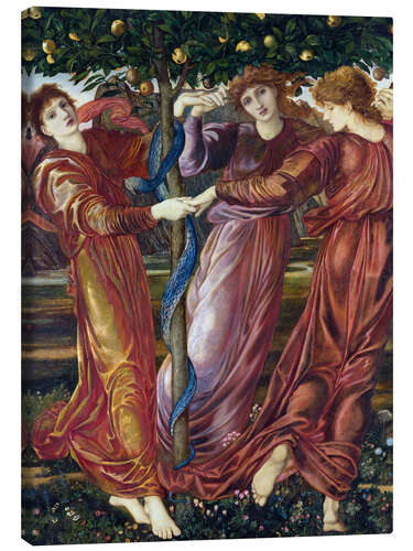 Canvas print Garden of the Hesperides