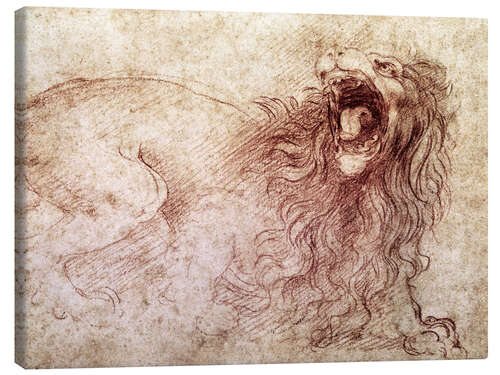 Canvas print Sketch of a roaring lion