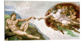 Stampa su plexi-alluminio Creazione di Adamo - Michelangelo