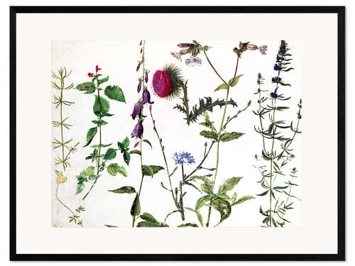 Impressão artística com moldura Eight Studies of Wild Flowers
