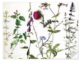 Wall sticker Eight Studies of Wild Flowers