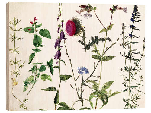 Wood print Eight Studies of Wild Flowers